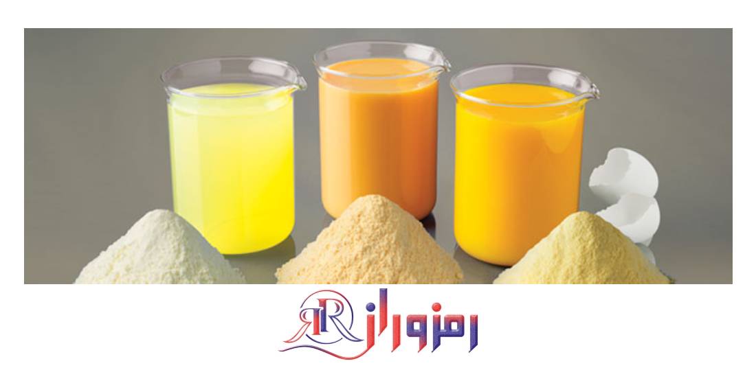 پودر سفیده تخم مرغ وی آلبومین 2500 گرم